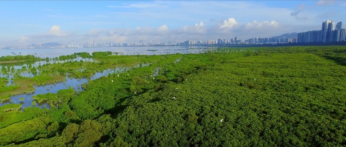 復件 宜居宜業(yè)的福田中心區(qū).jpg