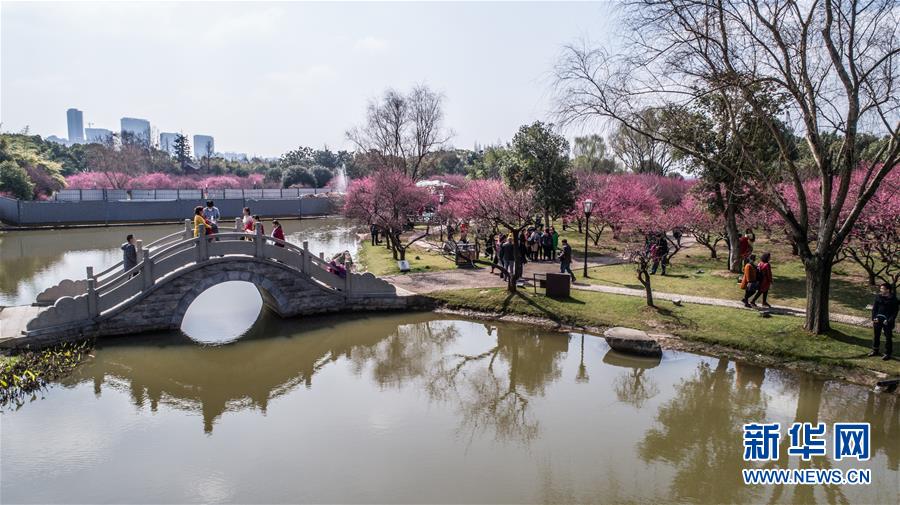 （環(huán)境）（1）梅花滿園引客來(lái)