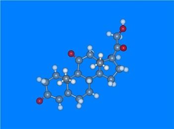 腦內(nèi)雌激素生成酶的表達量與性格氣質(zhì)密切相關