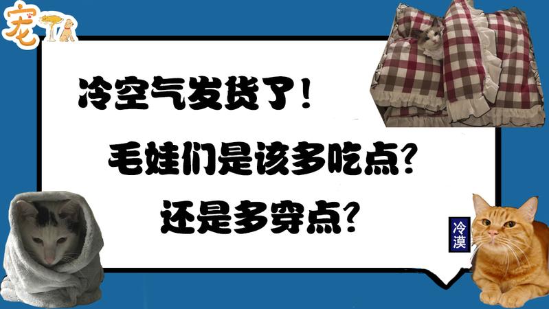 冷空氣發(fā)貨了！毛娃們是該多吃點還是多穿點？