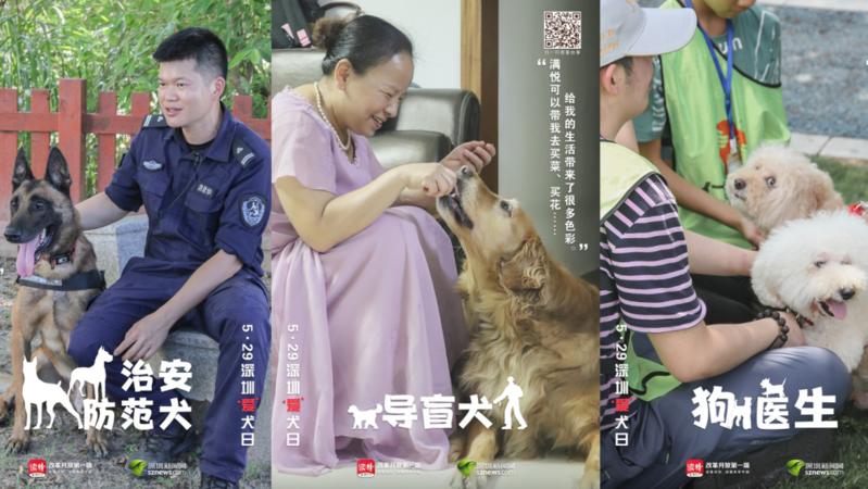 寵TA丨警犬、導盲犬……今天，他們值得被關注