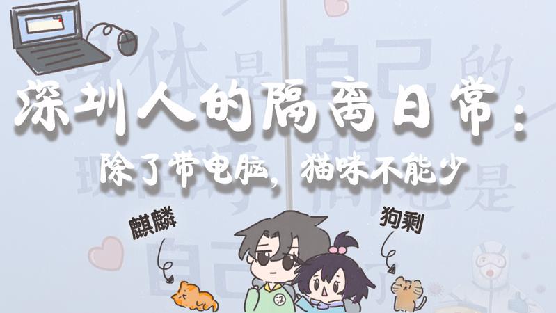 寵TA丨深圳人的隔離日常：除了帶電腦，貓咪不能少