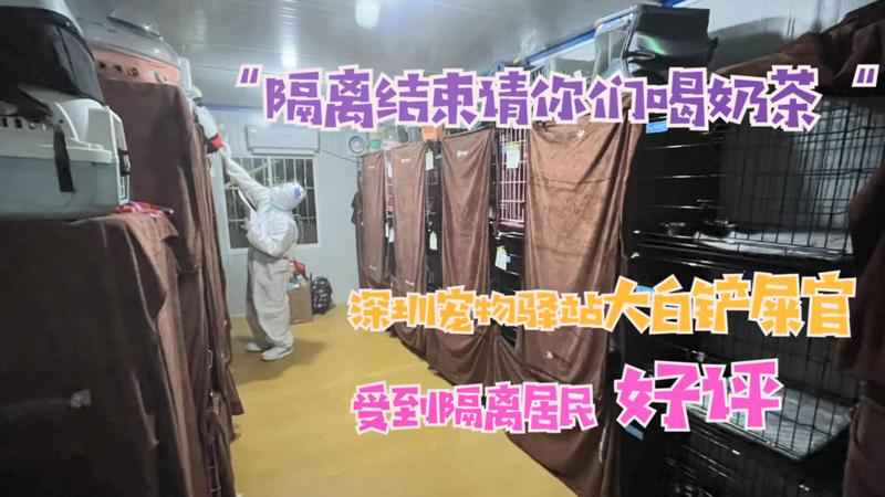 寵TA丨“隔離結束請你們喝奶茶！“ 大白鏟屎官受隔離居民好評